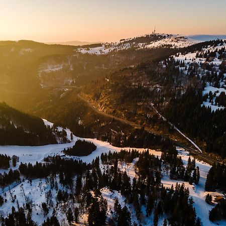 Auerhahn Feldberg Lejlighed Feldberg  Eksteriør billede