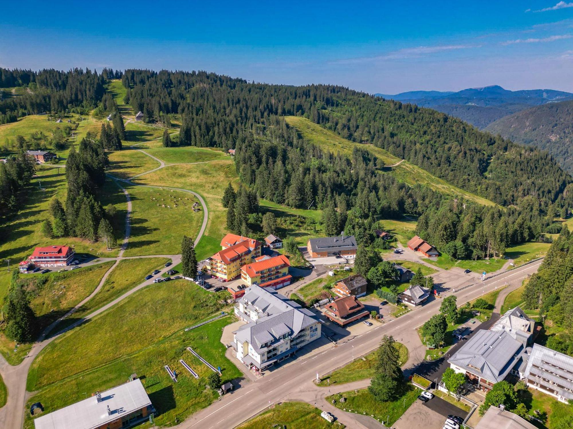 Auerhahn Feldberg Lejlighed Feldberg  Eksteriør billede